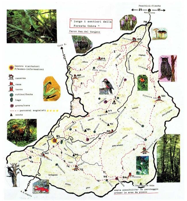 Foresta Umbra · Cartina illustrativa