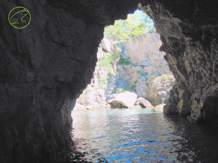 San Domino · Grotta marina