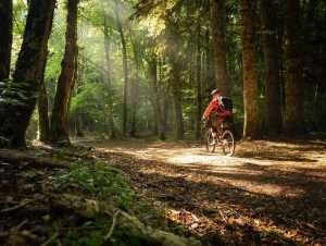 Foresta Umbra · Bici