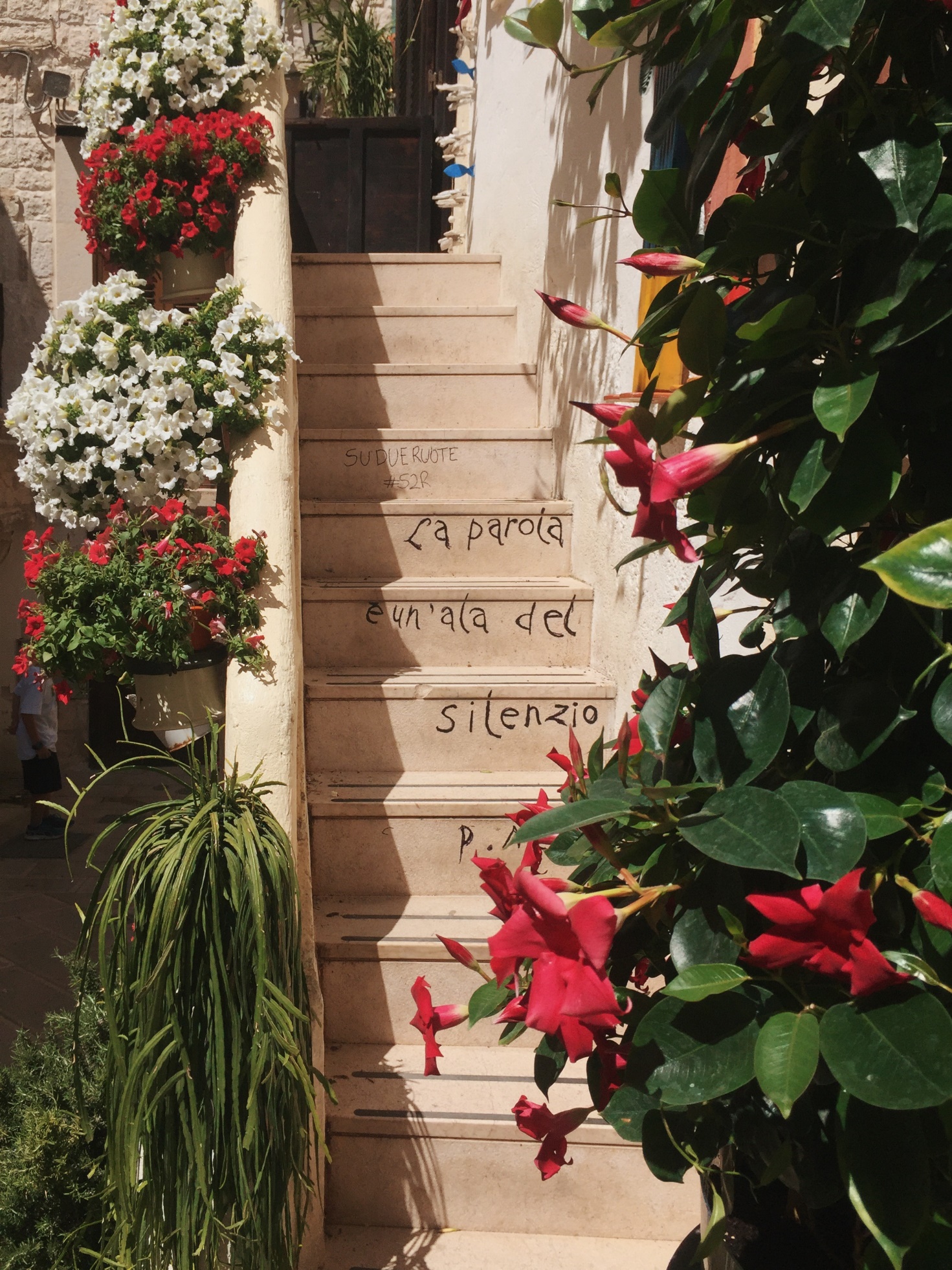 Steps among flowers and poems in the old town